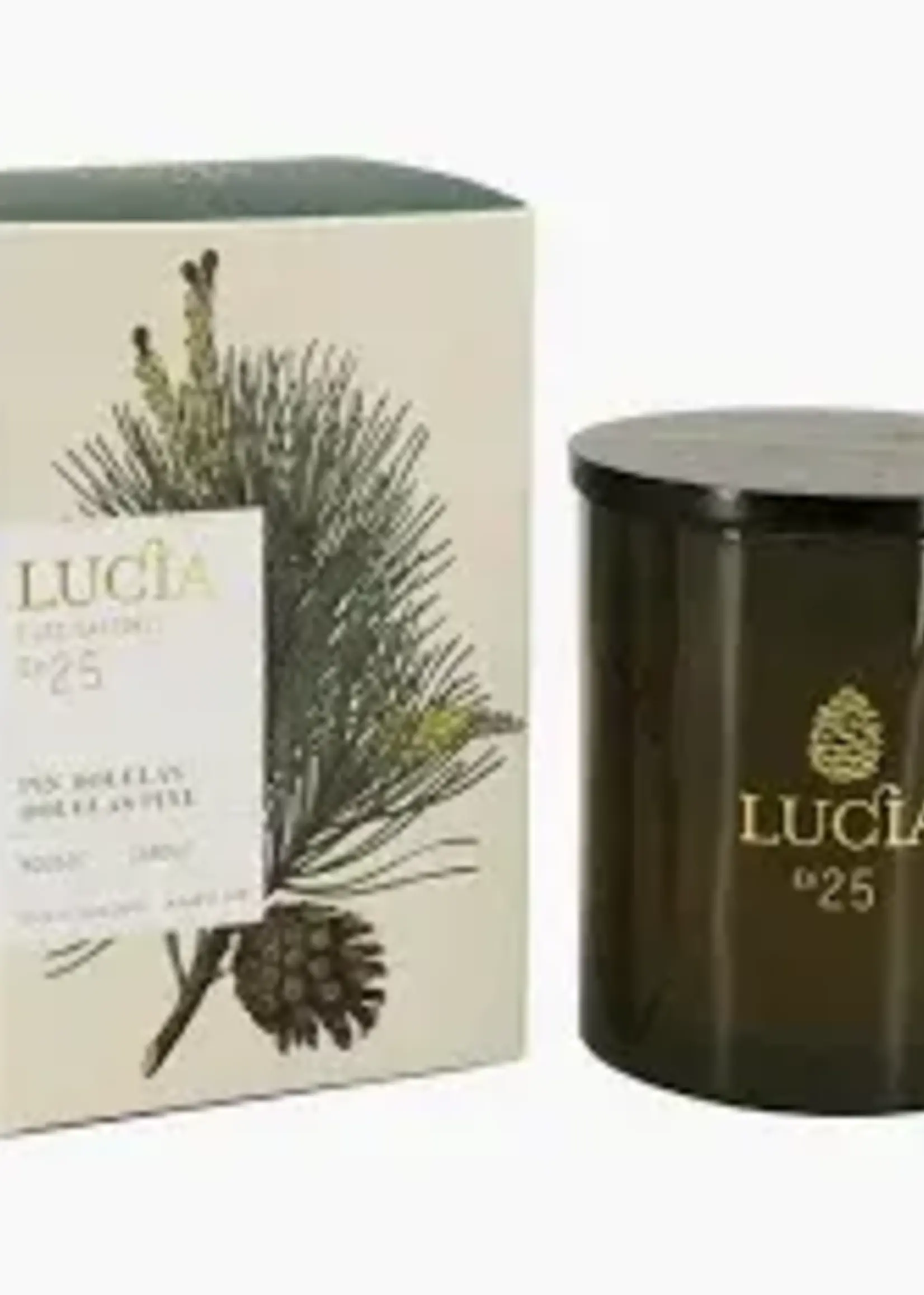 Douglas Pine - Aromatic Candle 55 hours