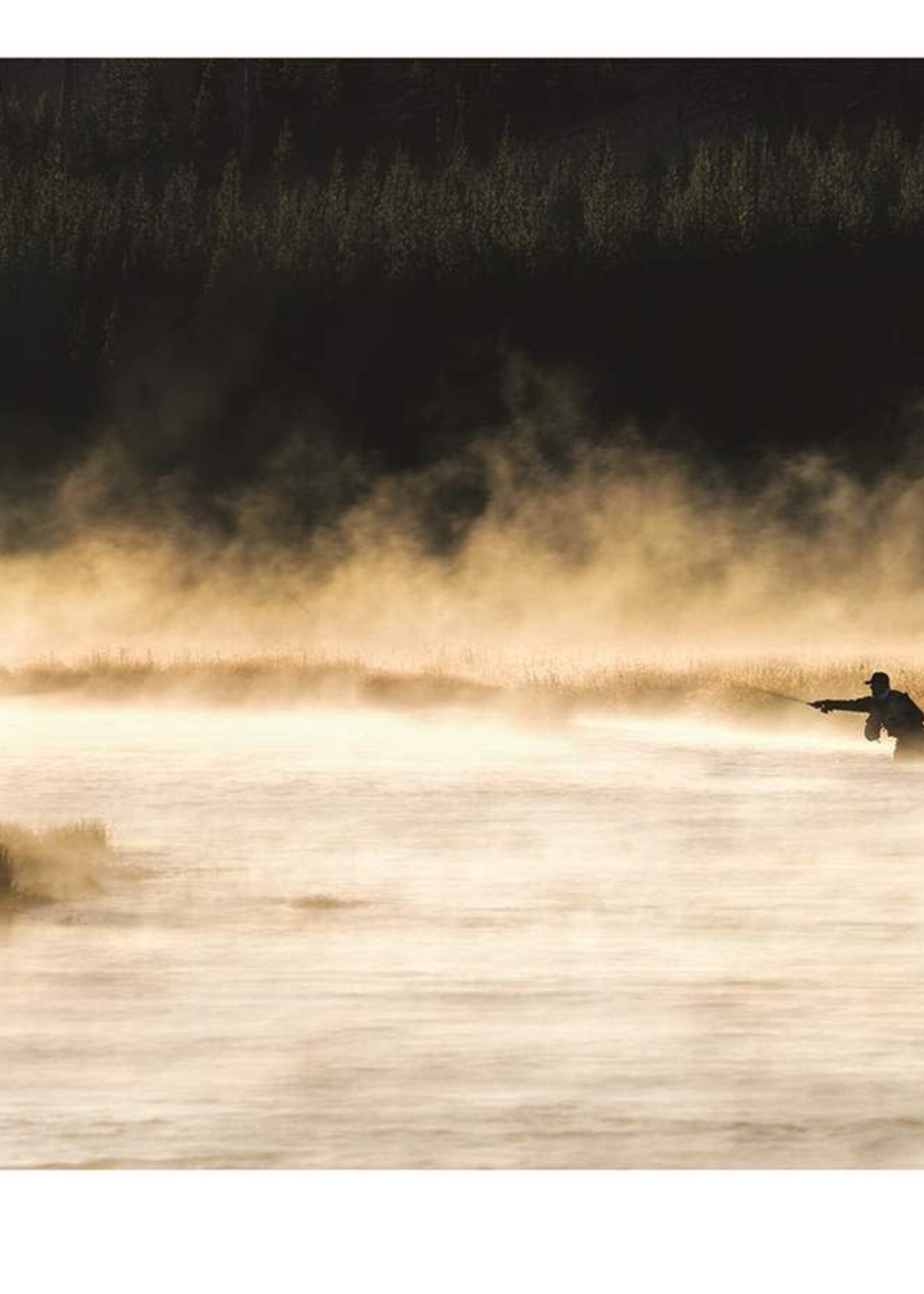 Pigment Fly Fishing