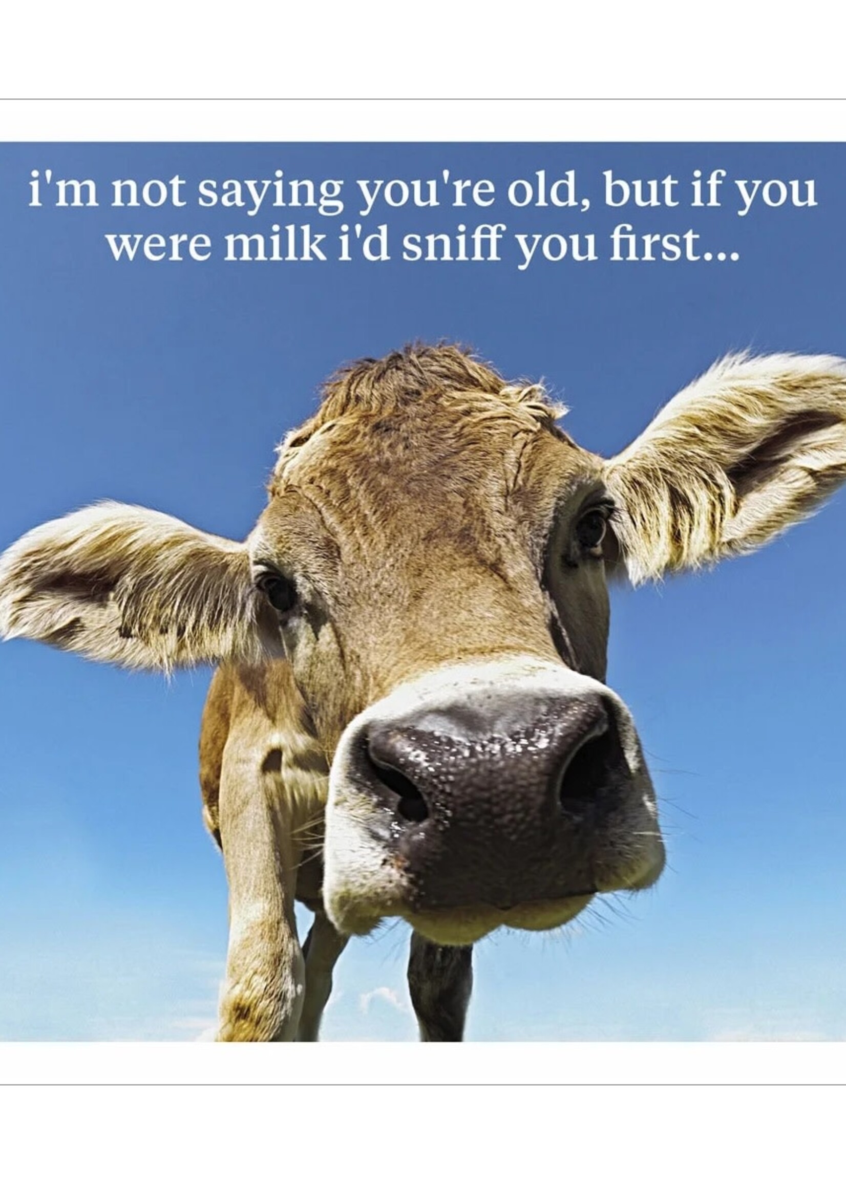 I'm Not Saying You're Old