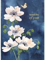 Thinking of You - White Flowers On Blue