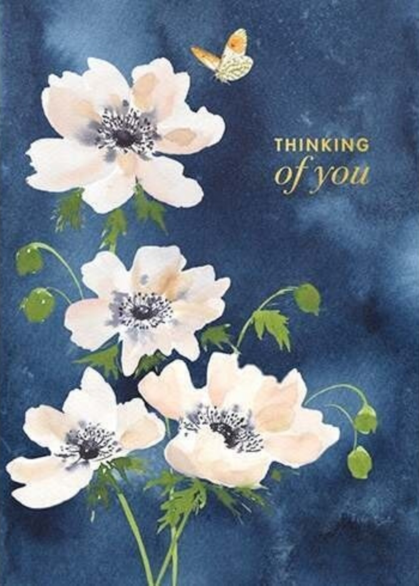 Thinking of You - White Flowers On Blue
