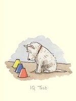 Two Bad Mice IQ Test
