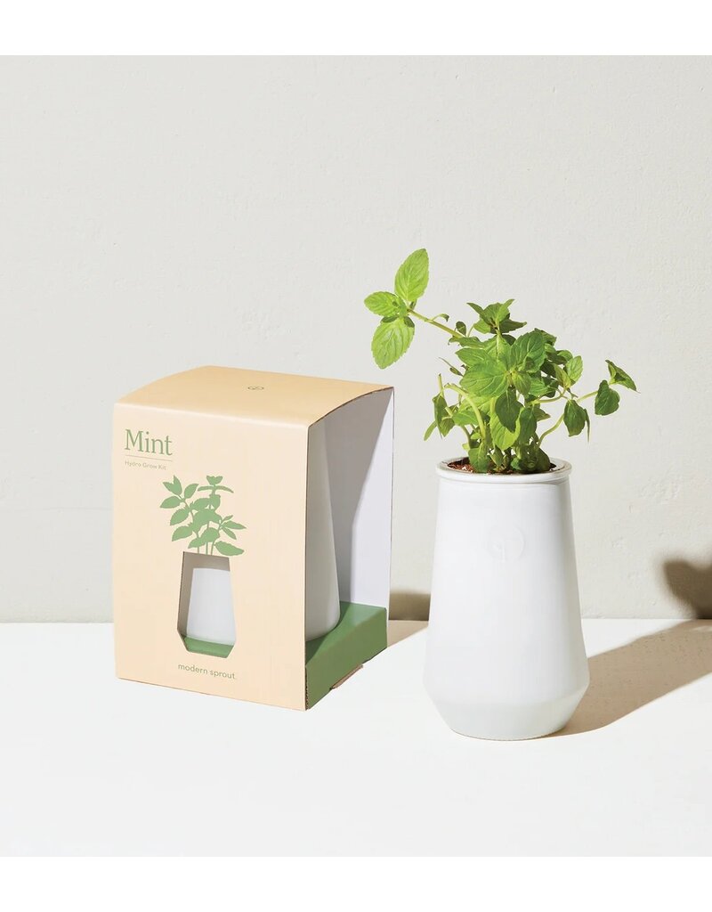 Modern Sprout Modern Sprout ~ Mint