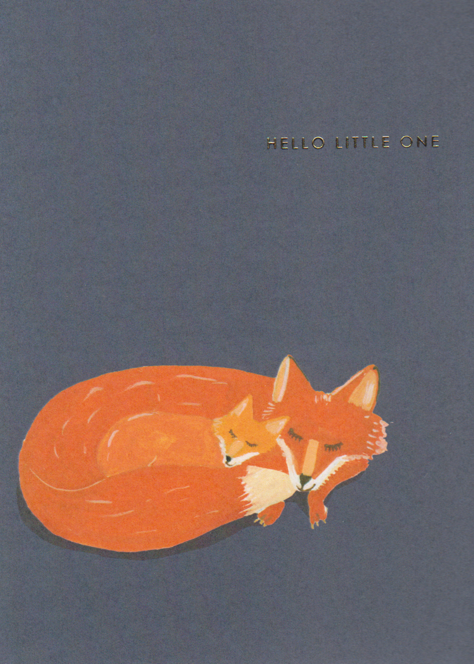 Halfpenny Postage Hello Little One - Foxes