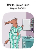 Marge, do we have any antacids?