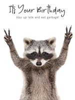 Portfolio It's Your Birthday Racoon