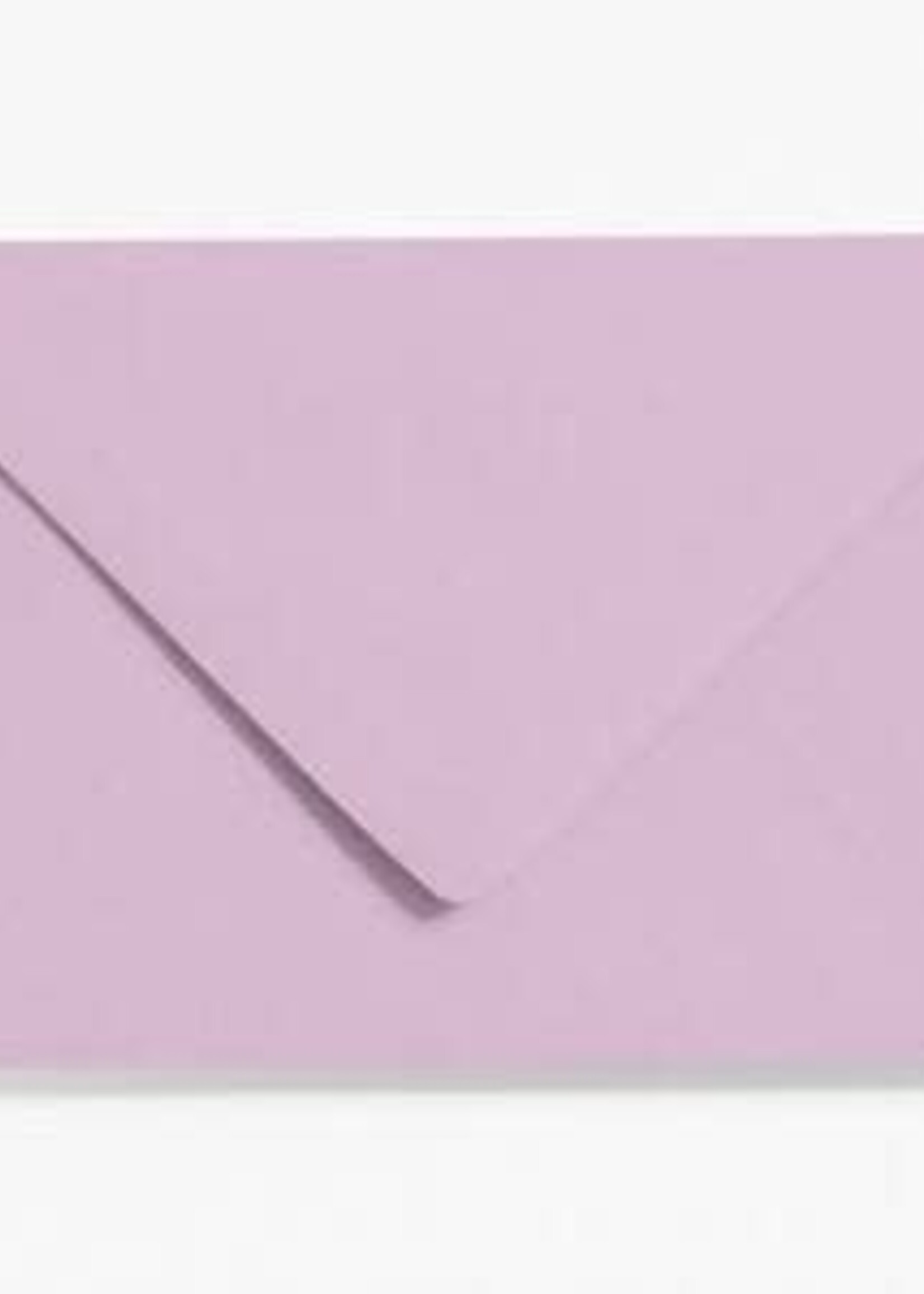 papersource Lavender A7 Envelopes