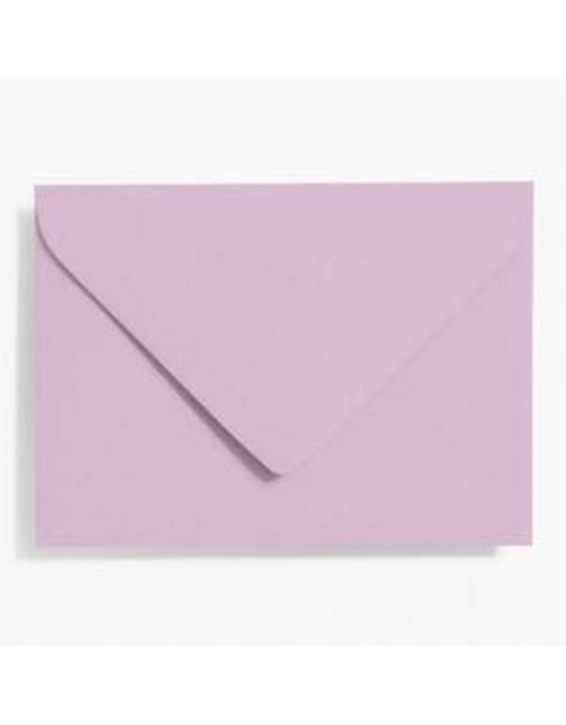papersource Lavender A7 Envelopes
