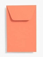 Paper Source Papaya Coin Envelope 10 Pack