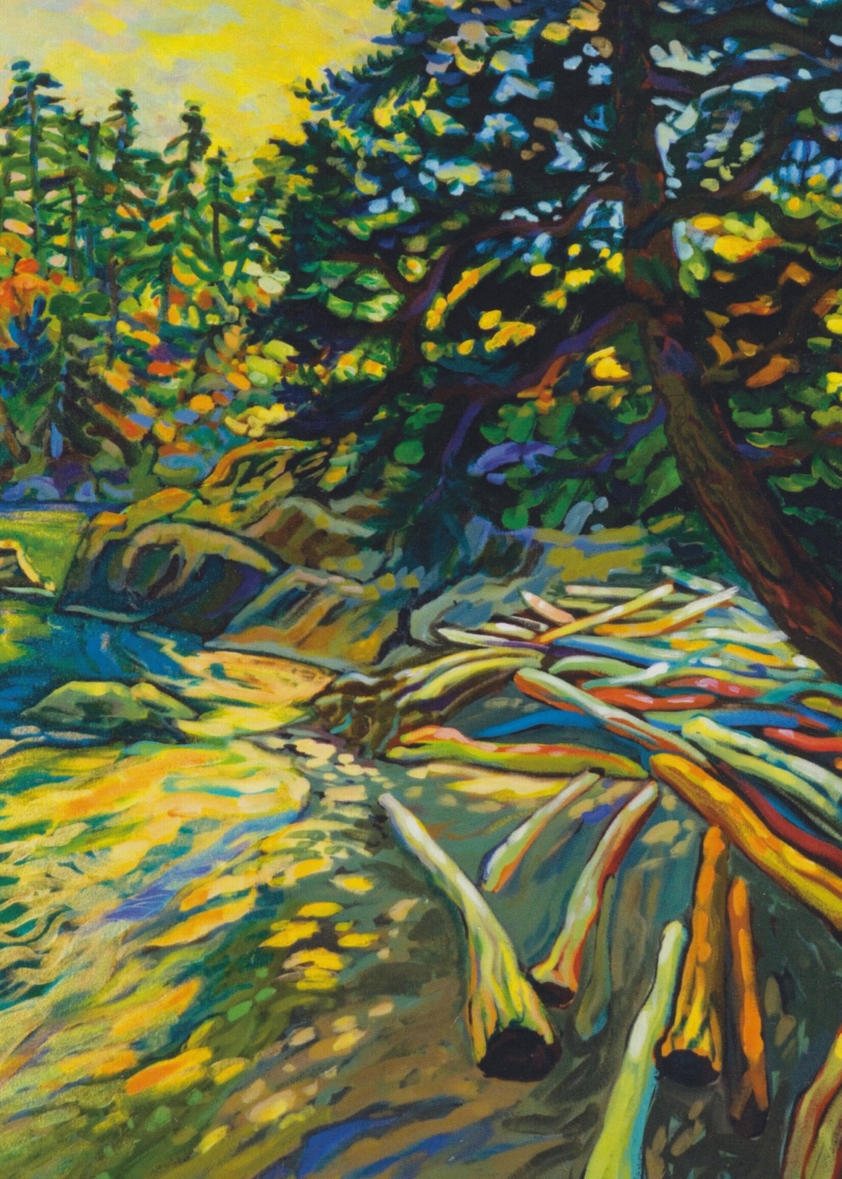 Afternoon Light on Pender Island