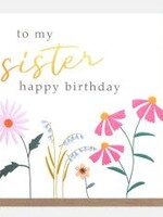 Caroline Gardner To My Sister, Happy Birthday