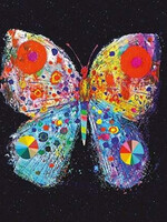 Butterfly from Heaven