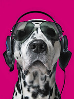 Snoop