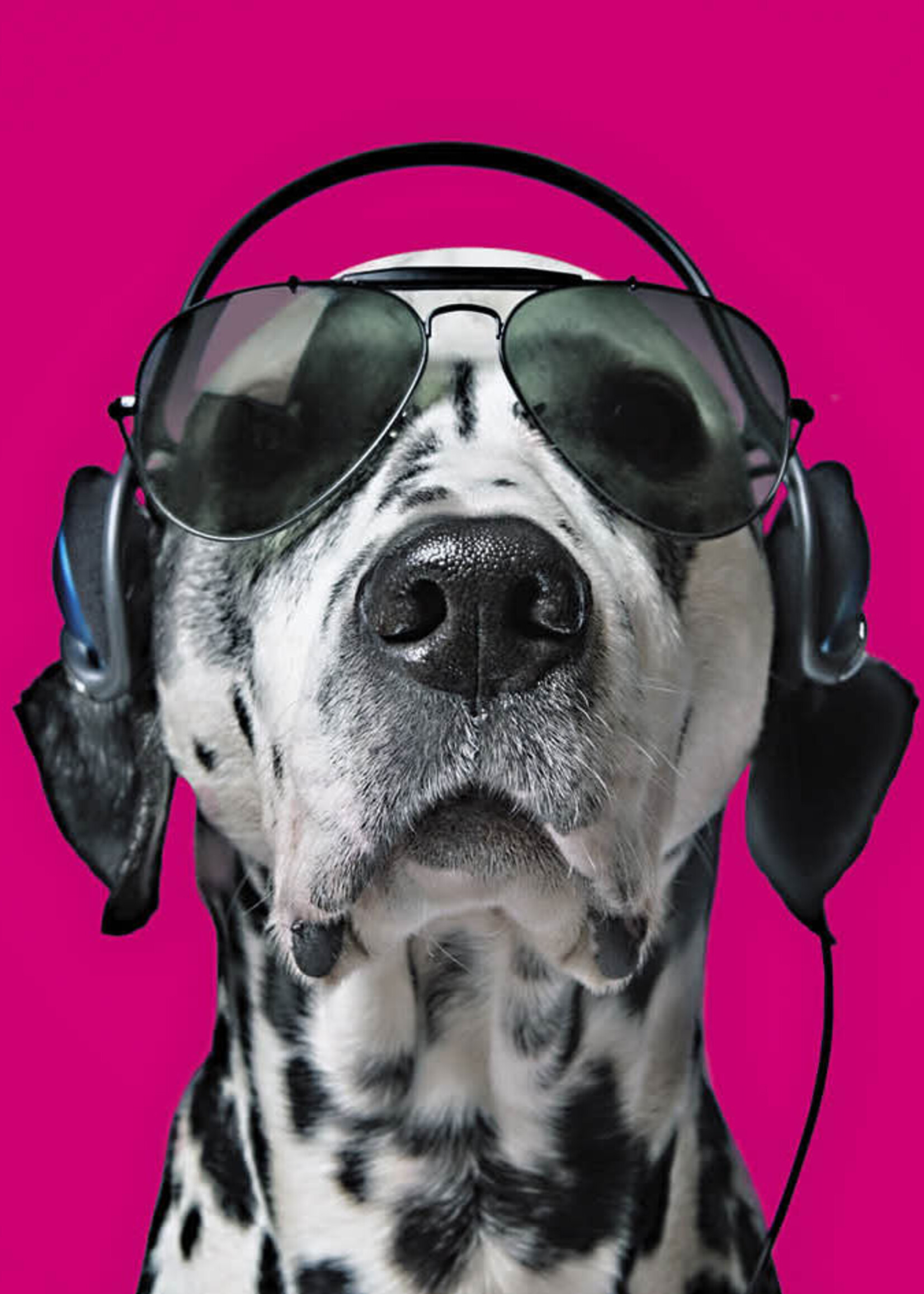 Snoop
