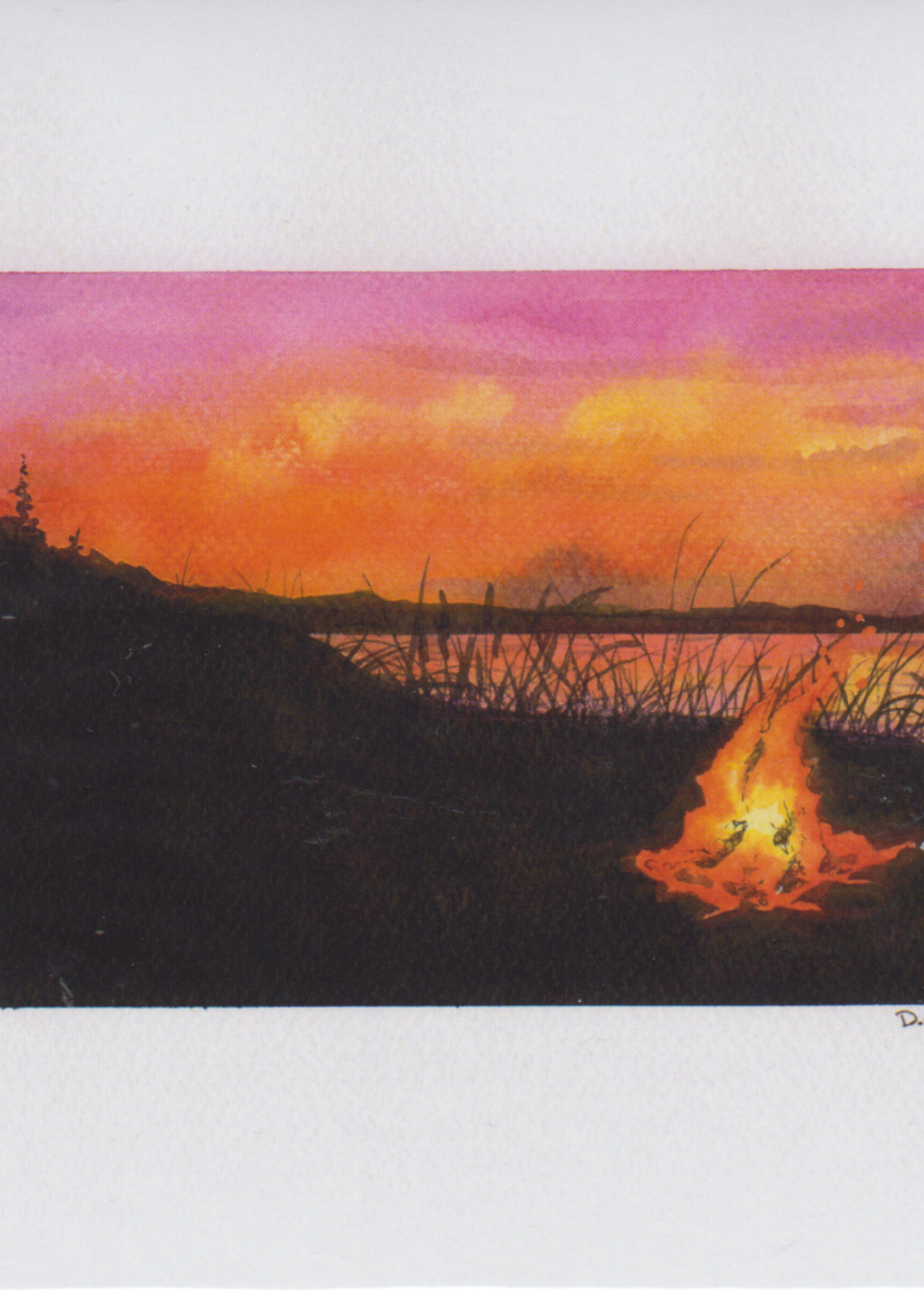 Matthew Doddridge Bonfire Pink