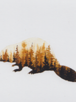 Beaver Forest