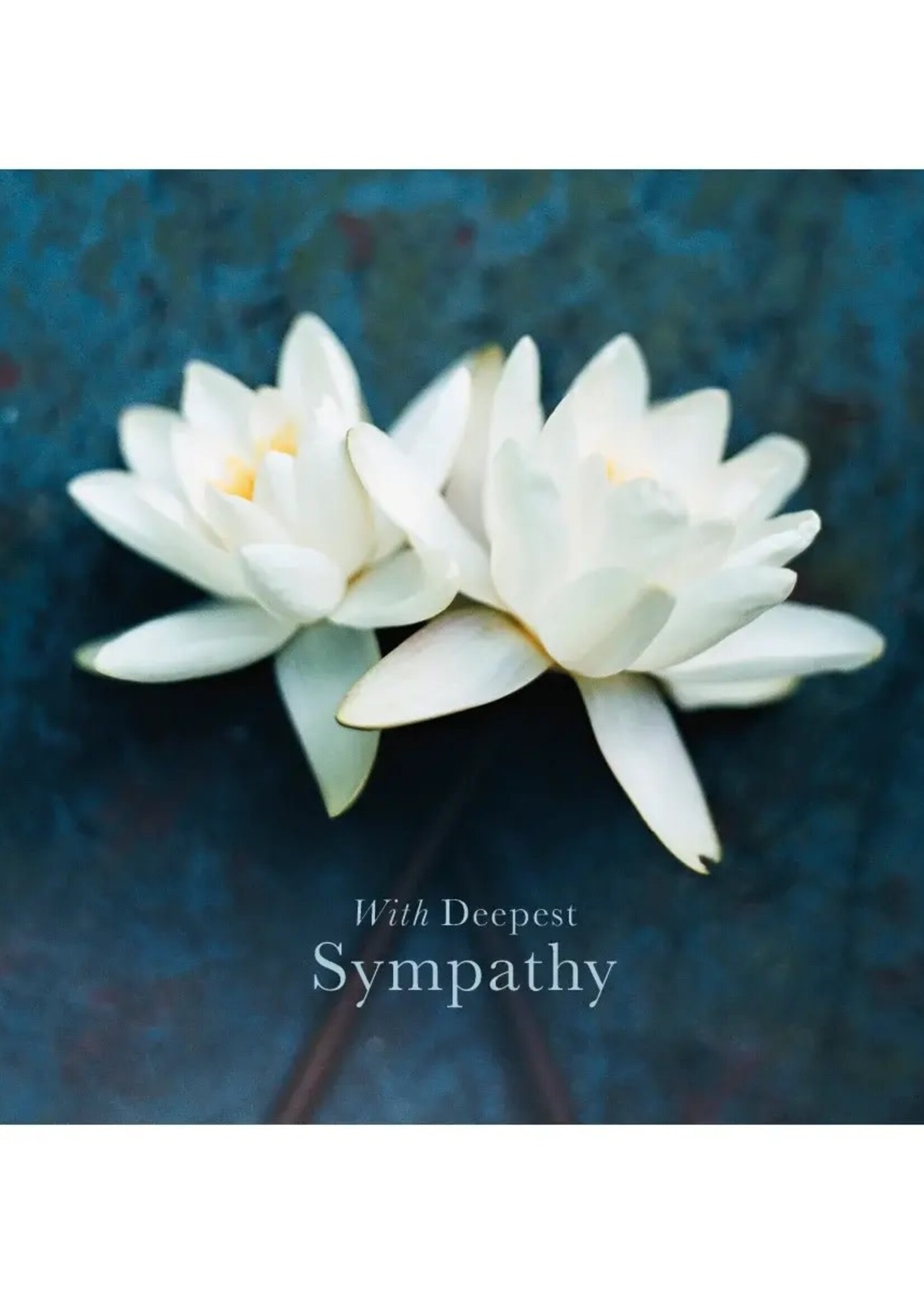 Art Press With Deepest Sympathy ~ White Flowers