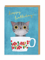 Happy Birthday ~ Teacup Kitten