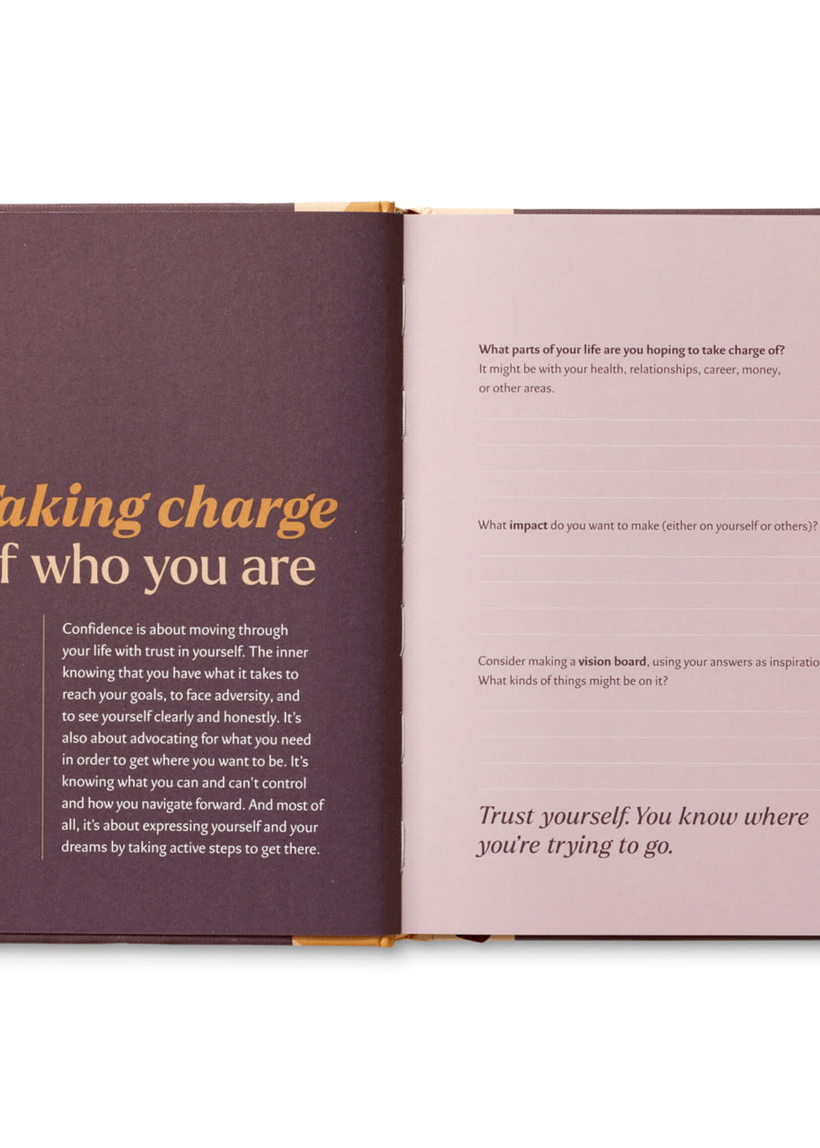 Compendium Guided Journal ~ Confidence