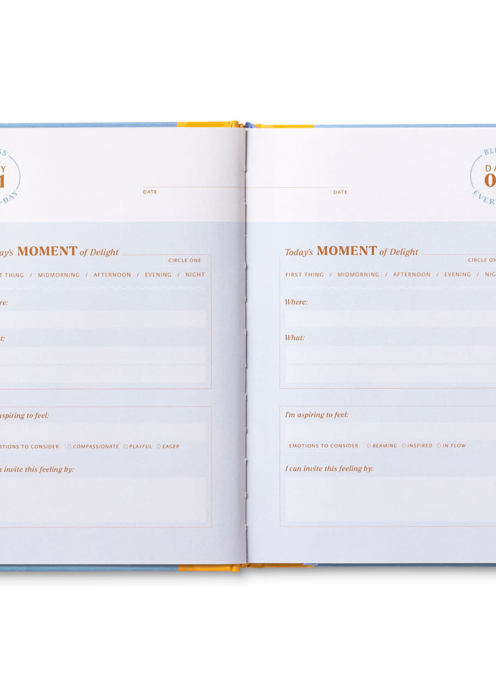 Compendium Guided Journal ~ Bliss