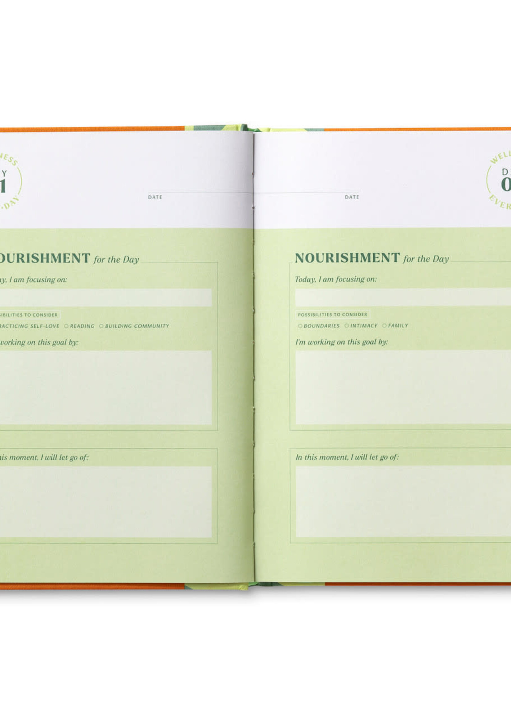 Compendium Guided Journal ~ Wellness