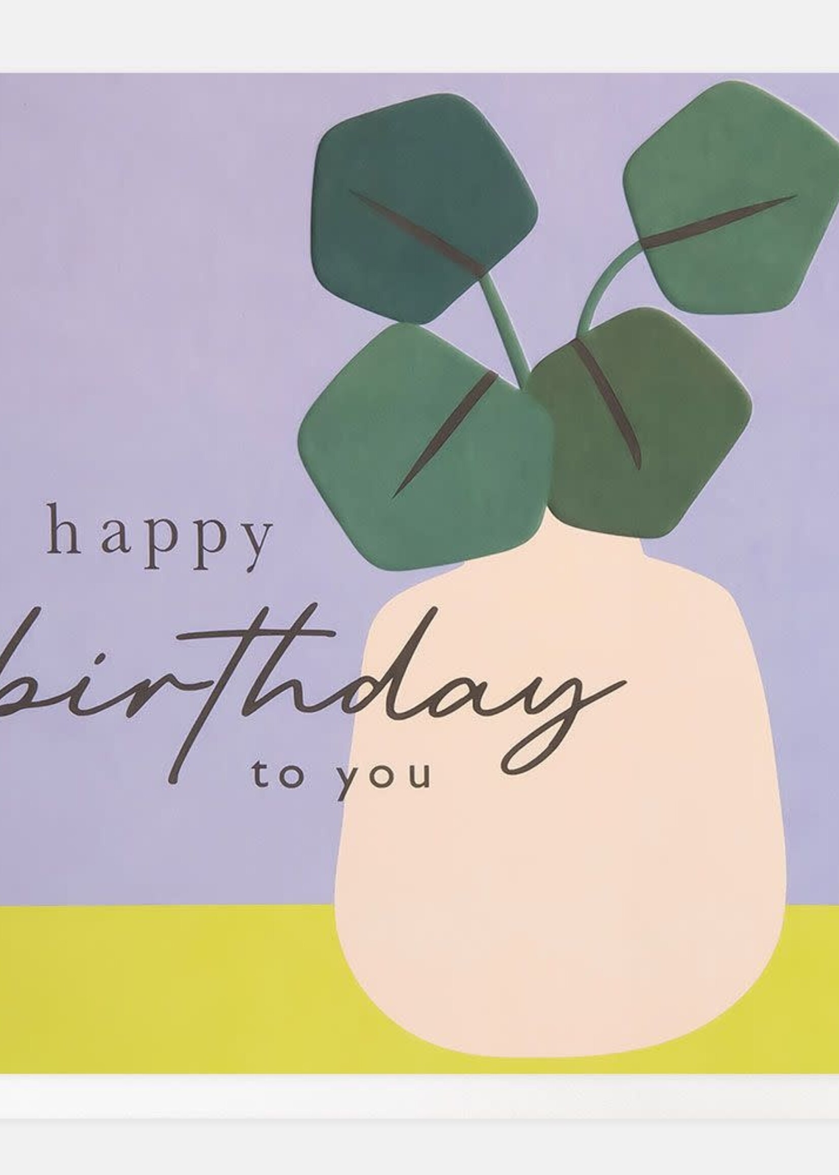 Caroline Gardner Happy Birthday To You - Potted Plant
