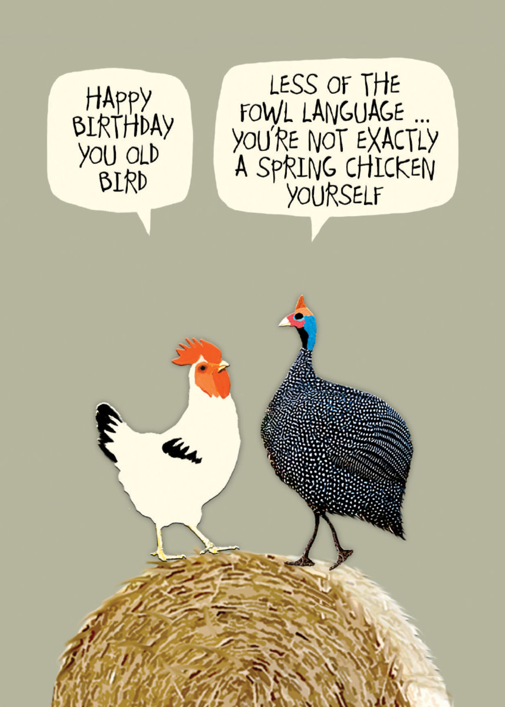 Happy Birthday You Old Bird