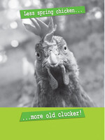 Quitting Hollywood Less Spring Chicken
