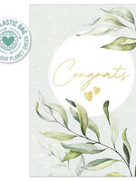 Artebene Congrats - Eucalyptus Leaves