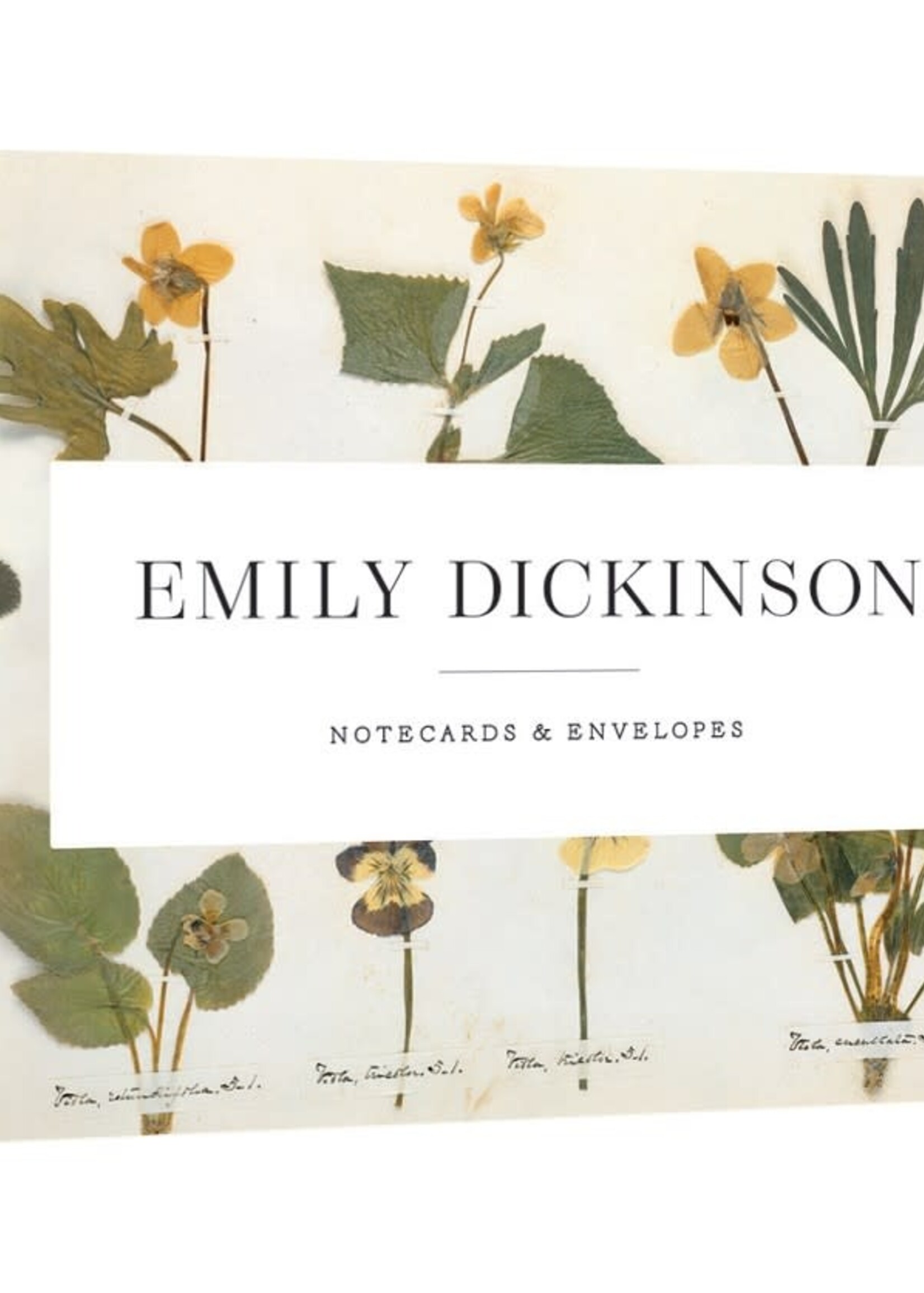 Note Cards ~ Emily Dickinson
