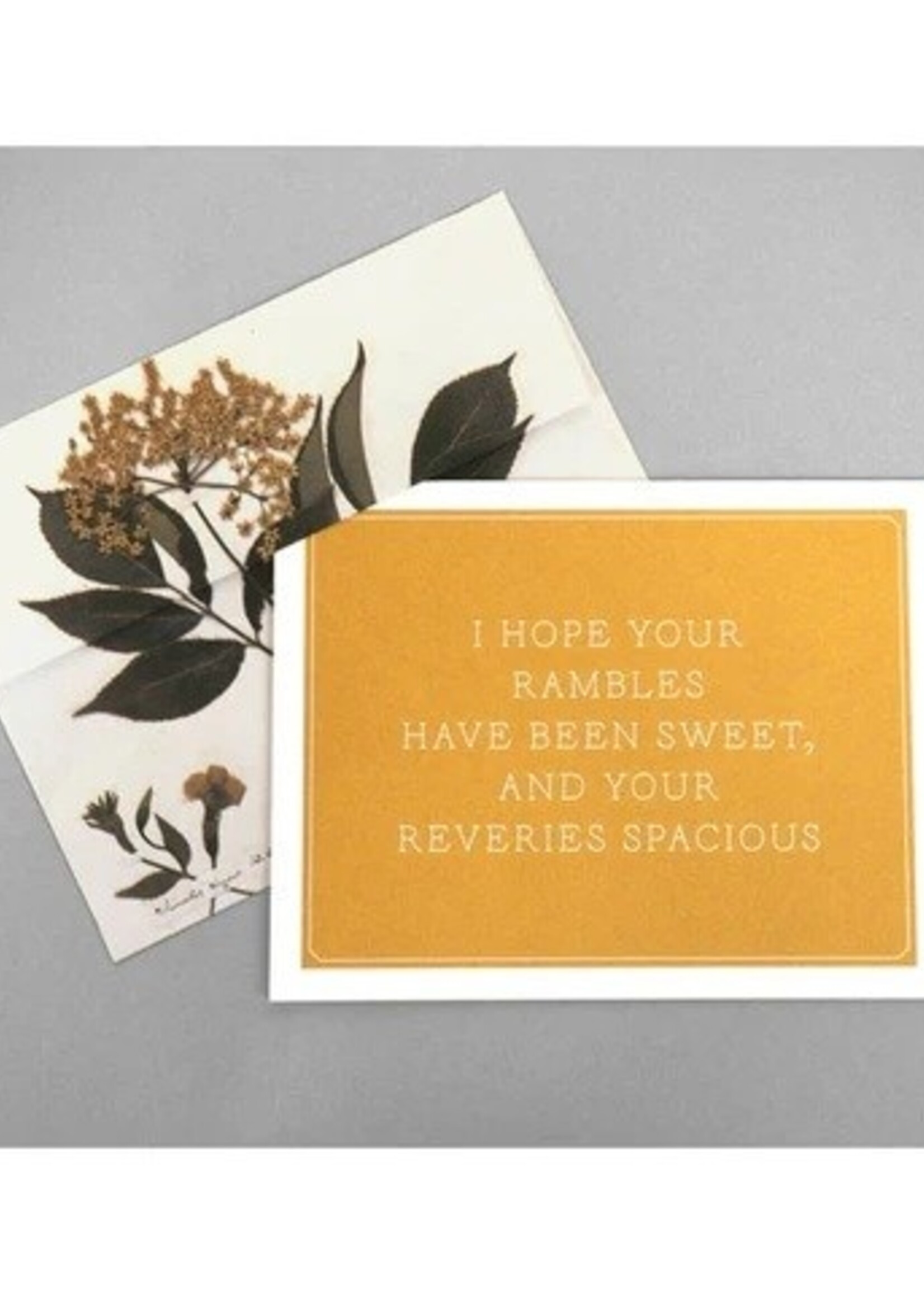 Note Cards ~ Emily Dickinson