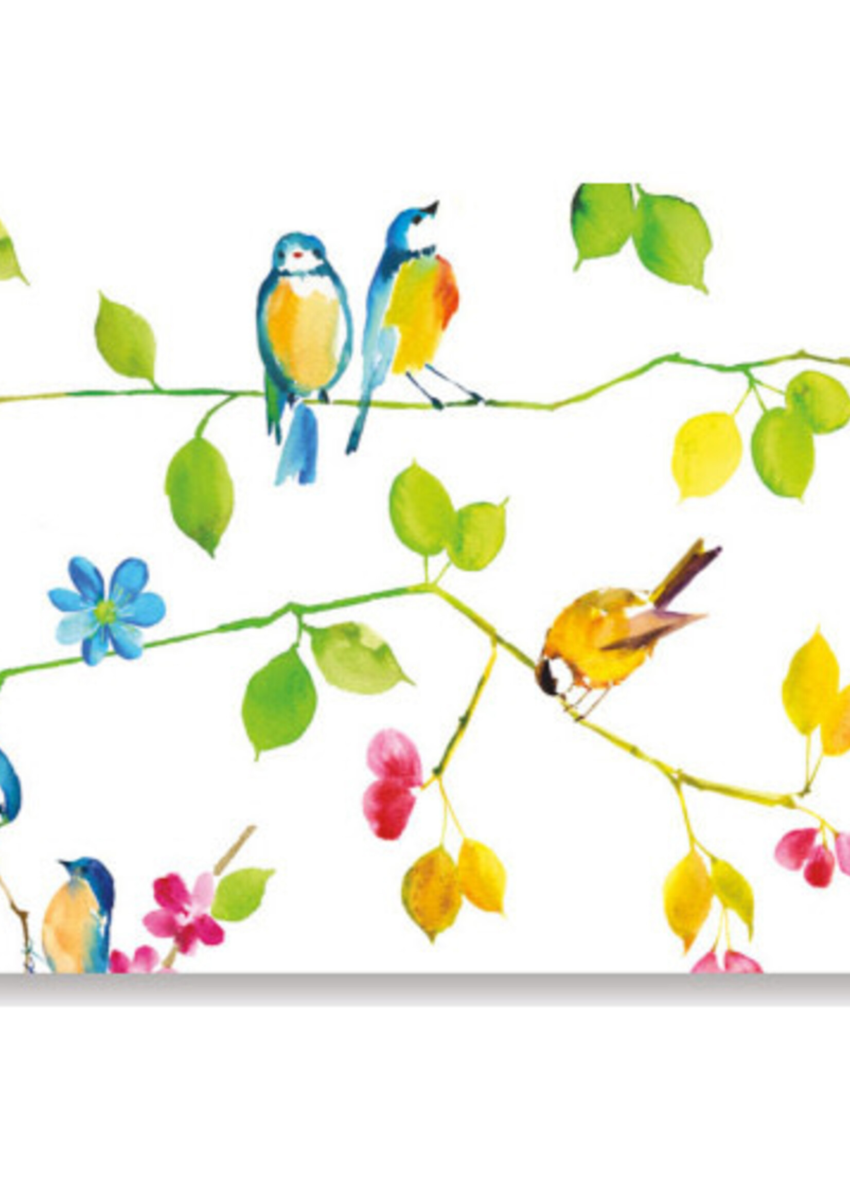 Boxed Notes ~ Watercolour Birds