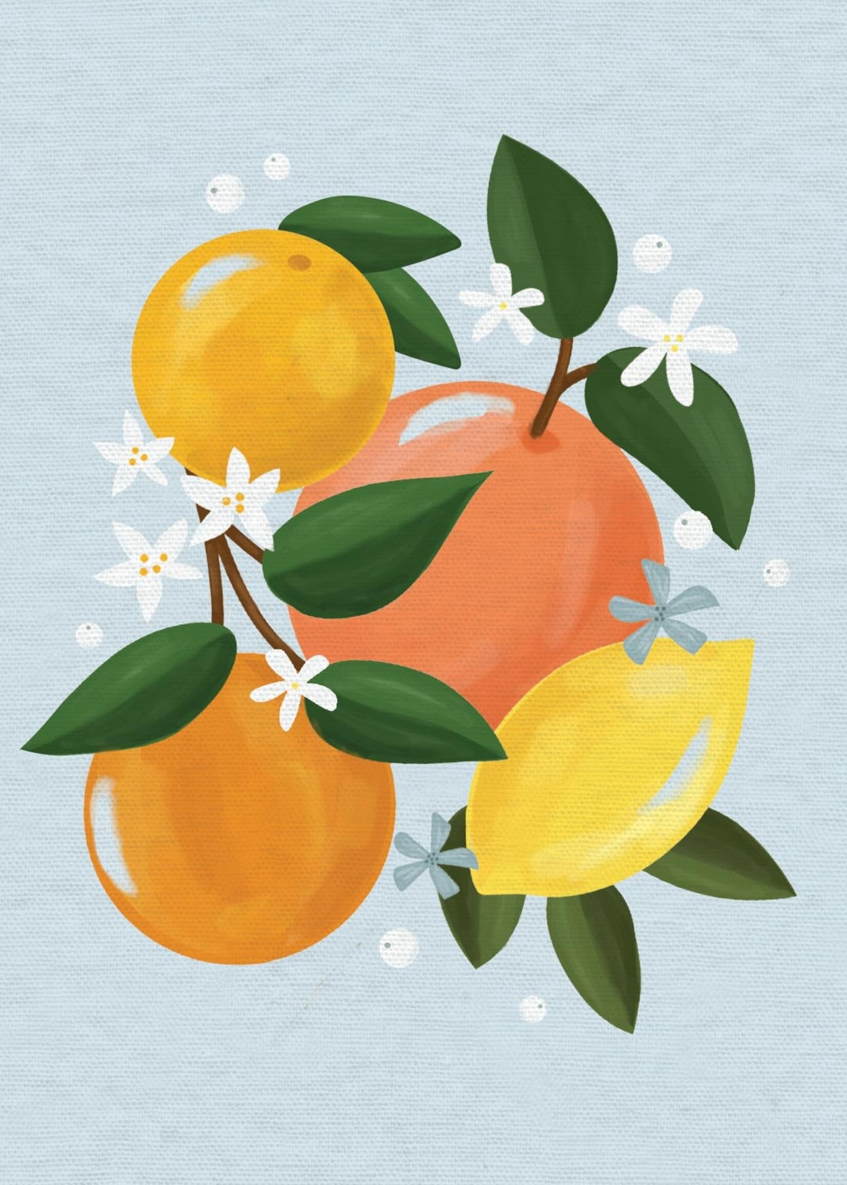 Freshly Squeezed Bank Boxed Note Cards