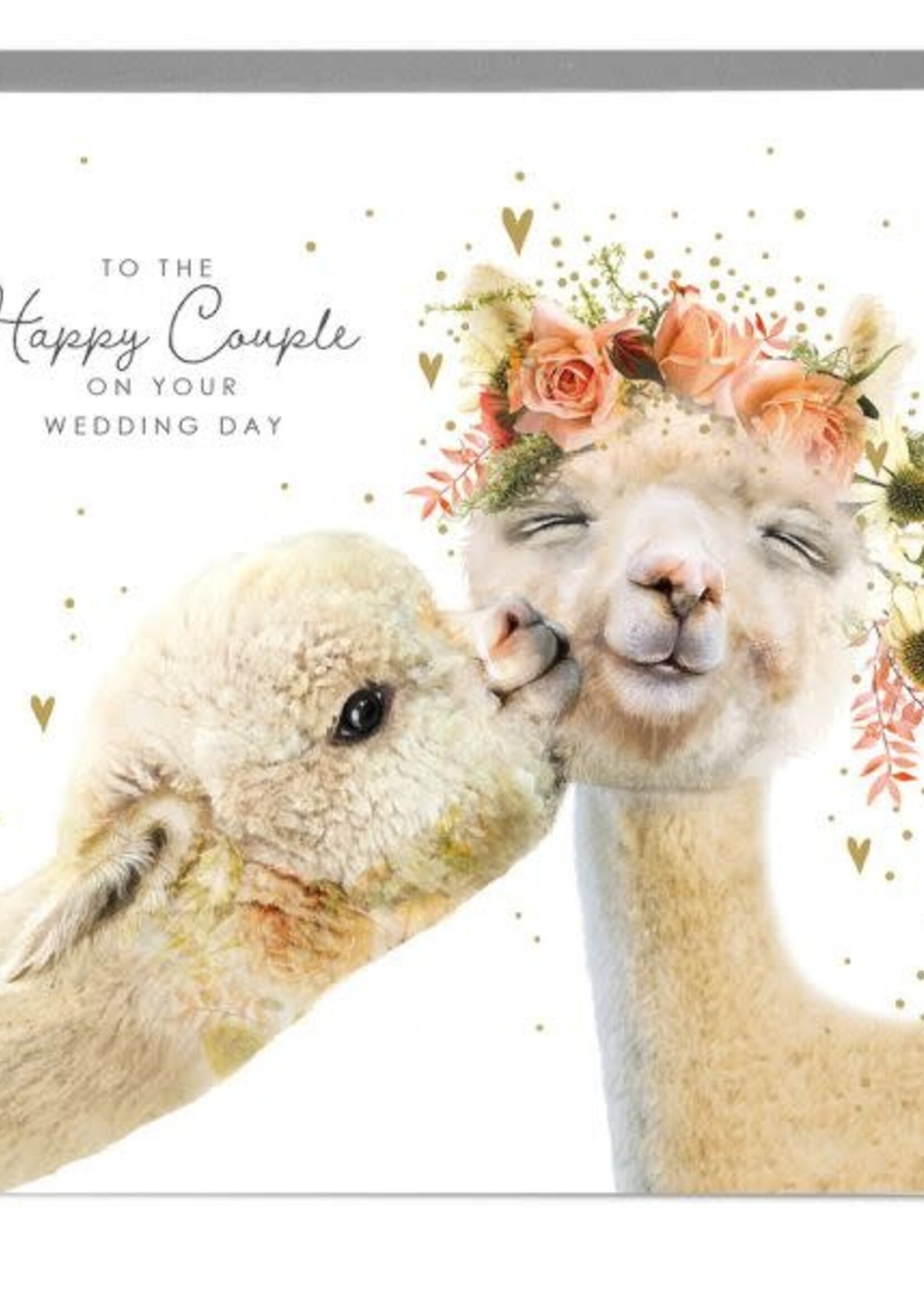 To The Happy Couple - llamas