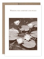 Shannon Martin Wishing You Comfort and Peace