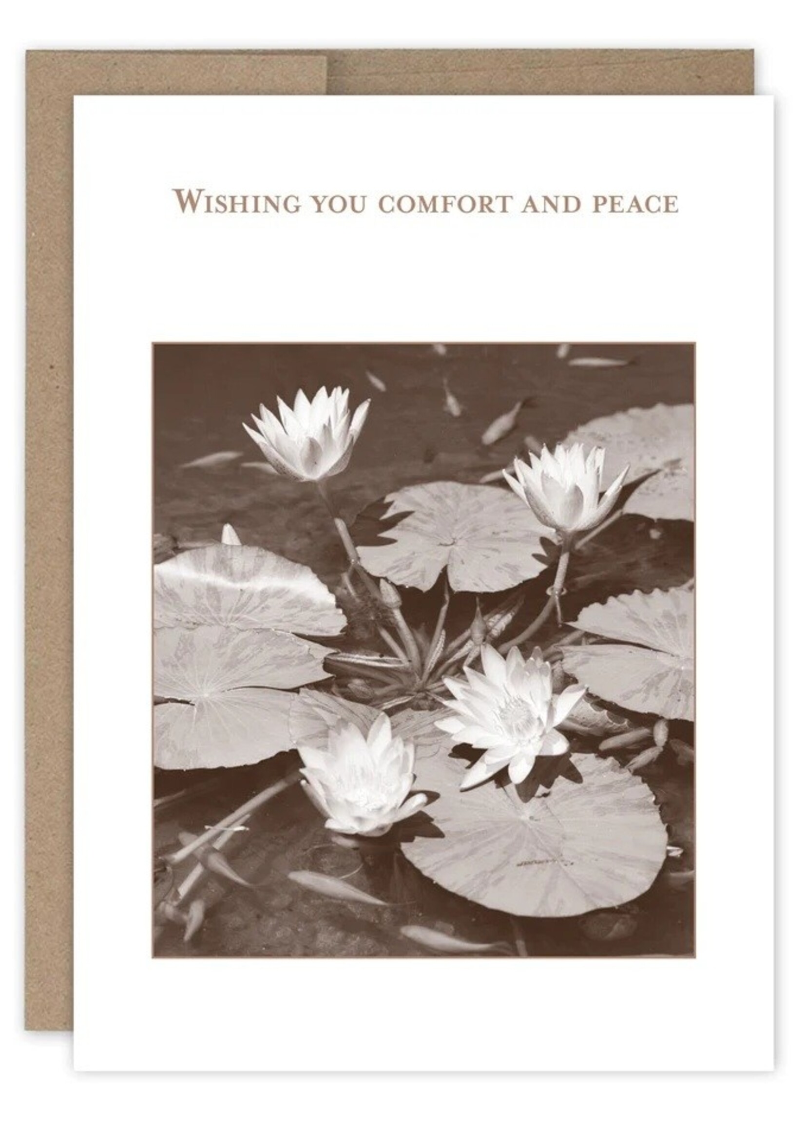 Shannon Martin Wishing You Comfort and Peace