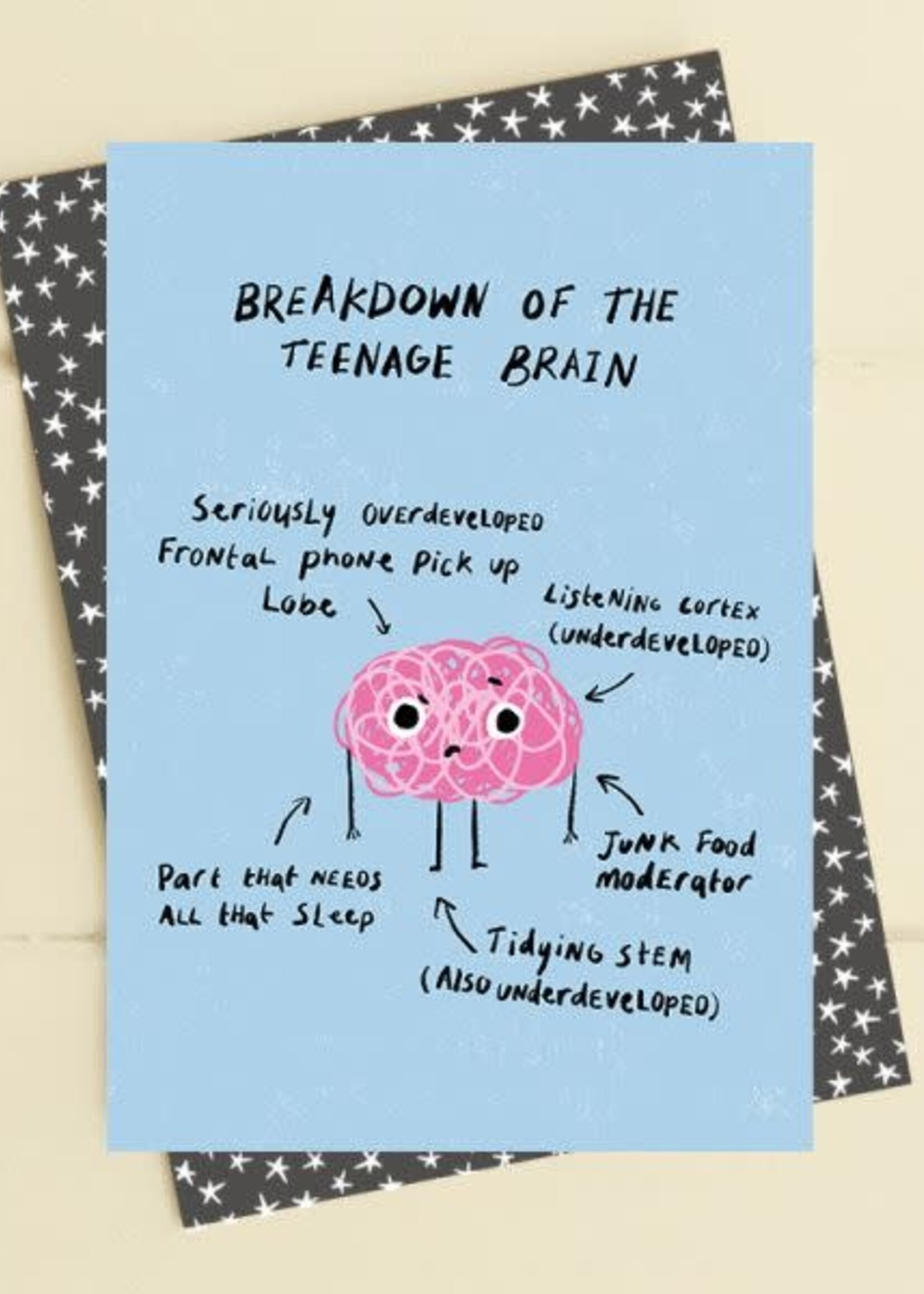Dandelion Breakdown of the teenage brain