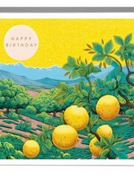 Happy Birthday Lemons