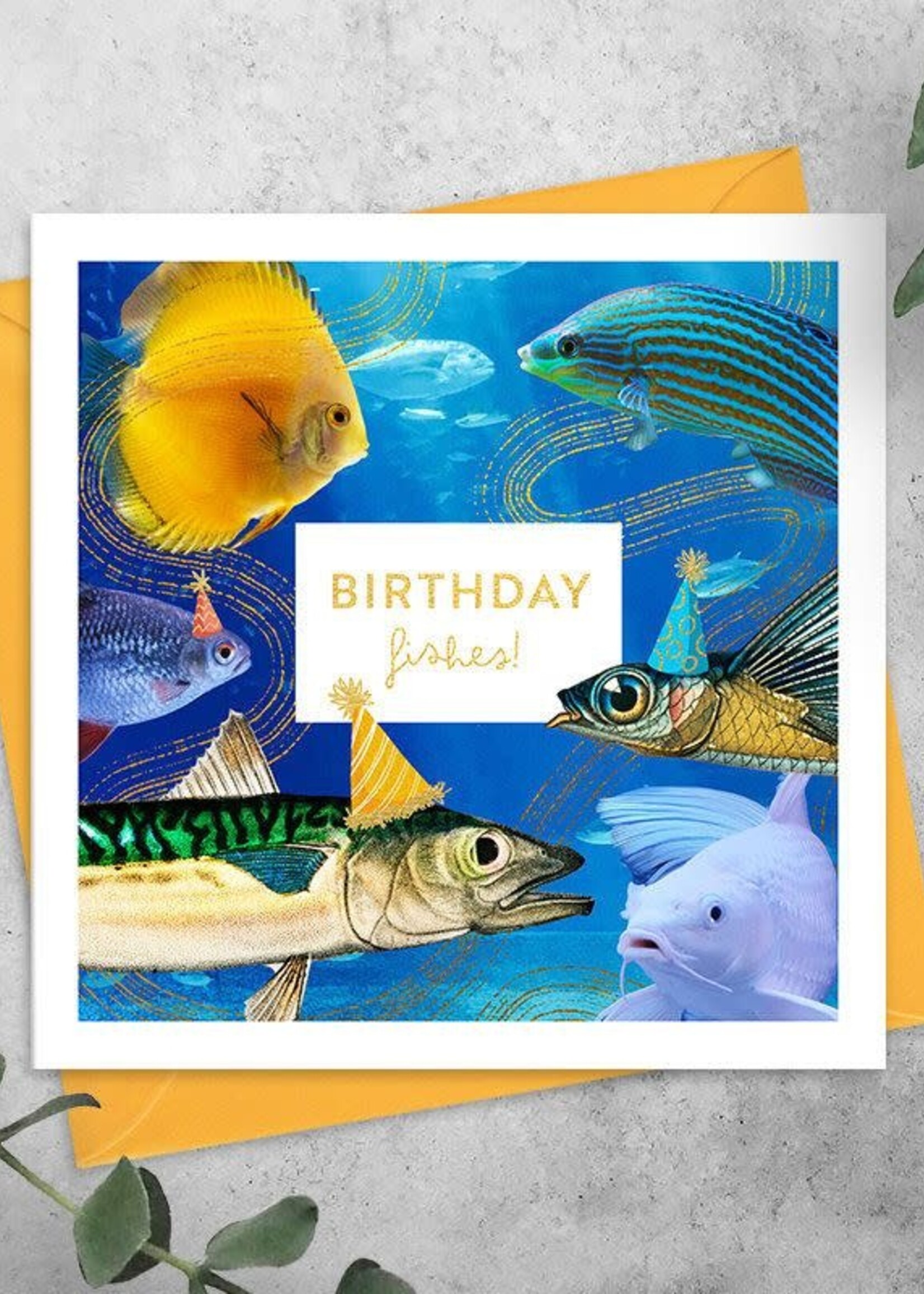 Birthday Fishes