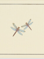 Peter Pauper Boxed Notecards ~ Blue Dragonfly