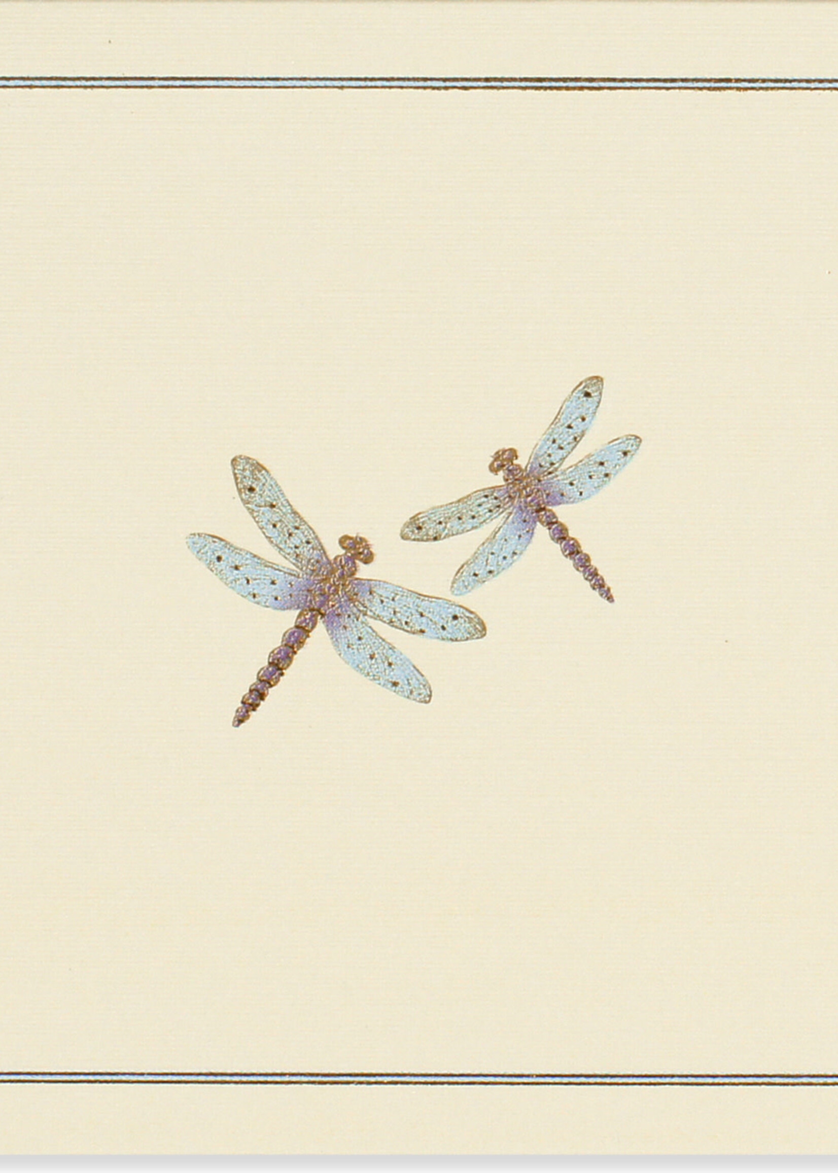 Peter Pauper Boxed Notecards ~ Blue Dragonfly