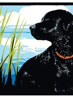 Black Lab By The Lake