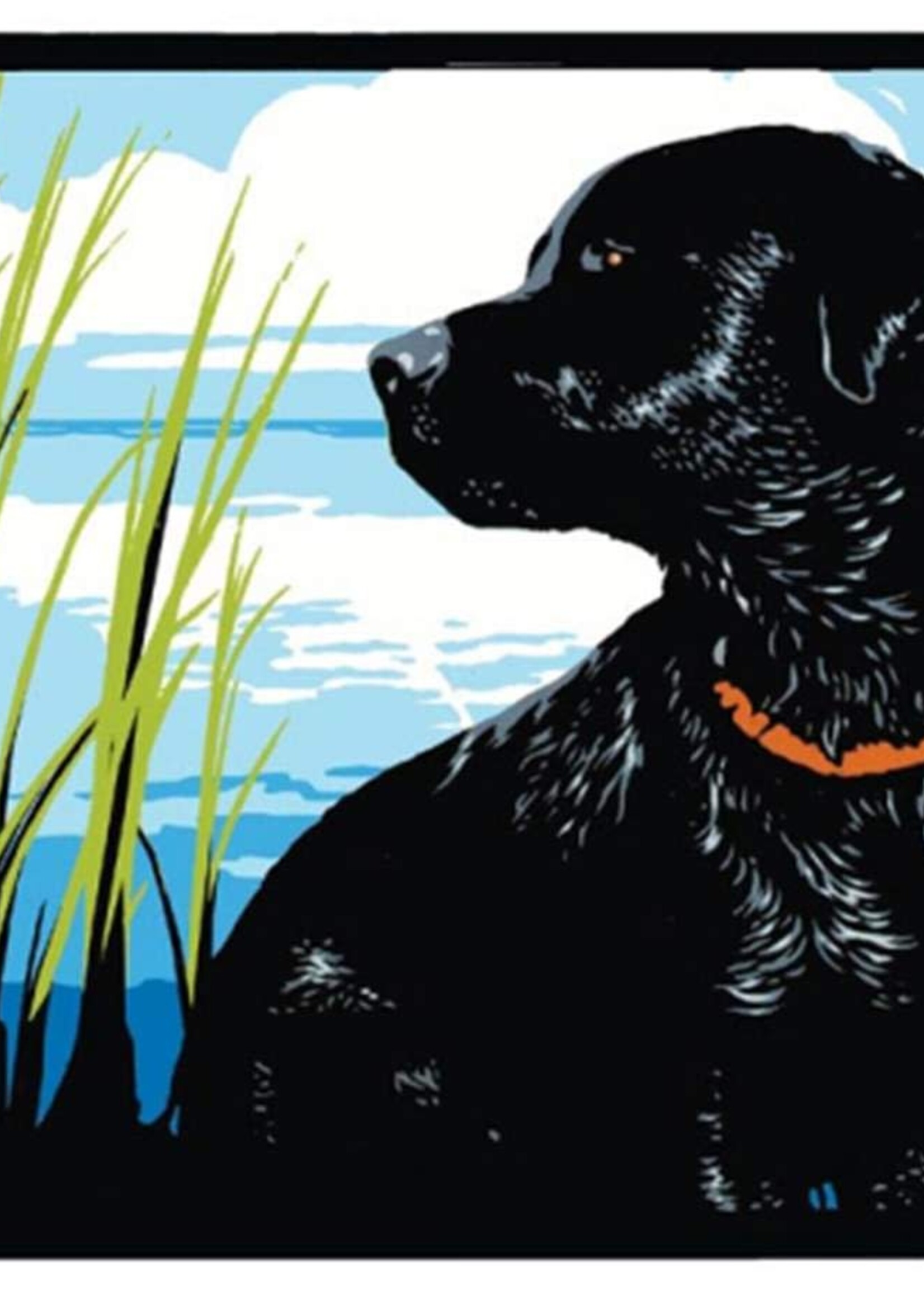 Black Lab By The Lake