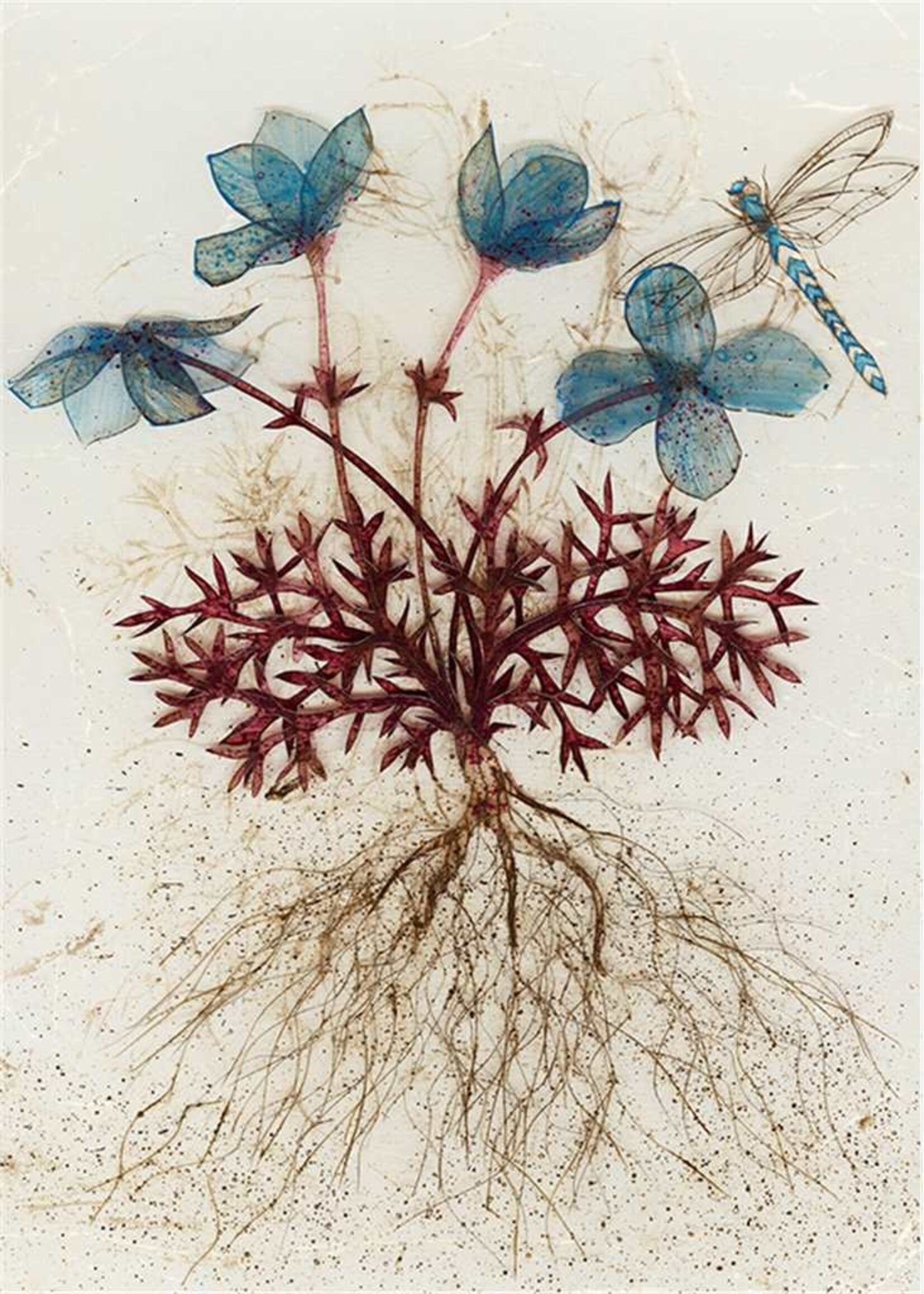 Blue Flower/Dragonfly