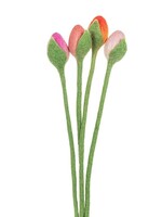 abbott Felt Tulips