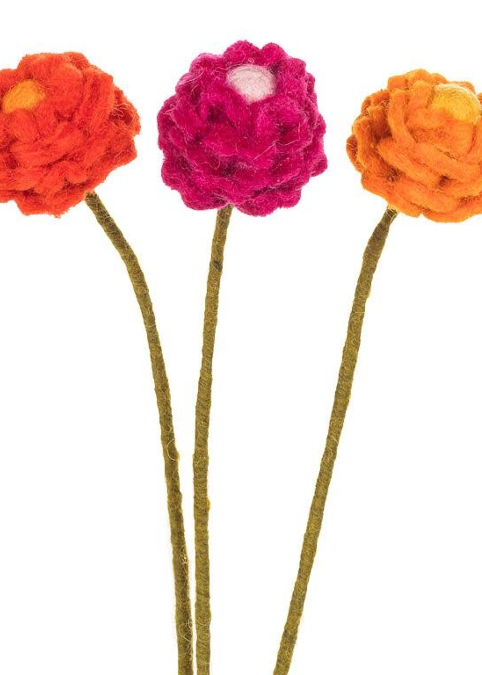 abbott Felt Ranunculus