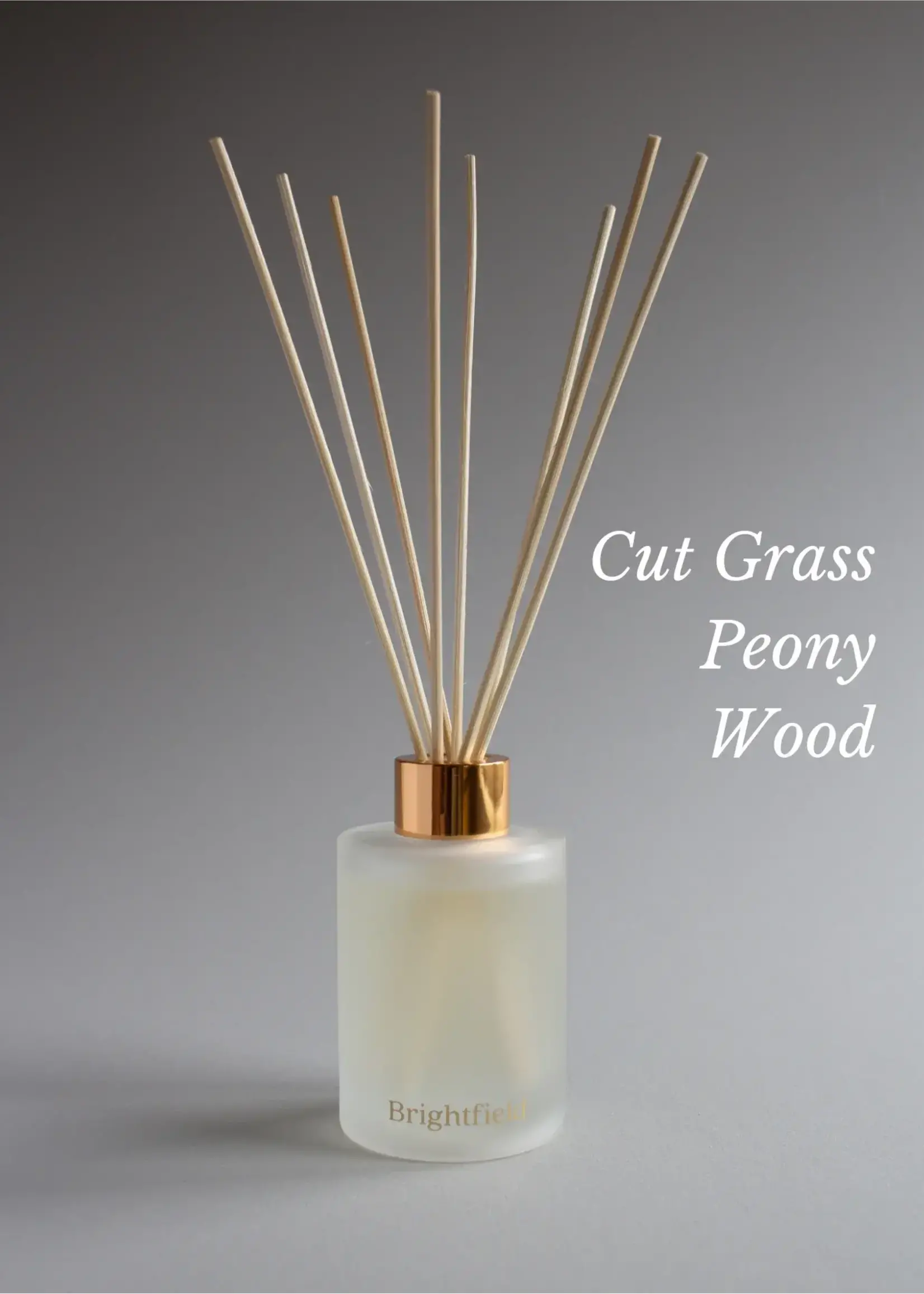 Brightfield  Candle Company Brightfield Reed Diffuser - Countryside