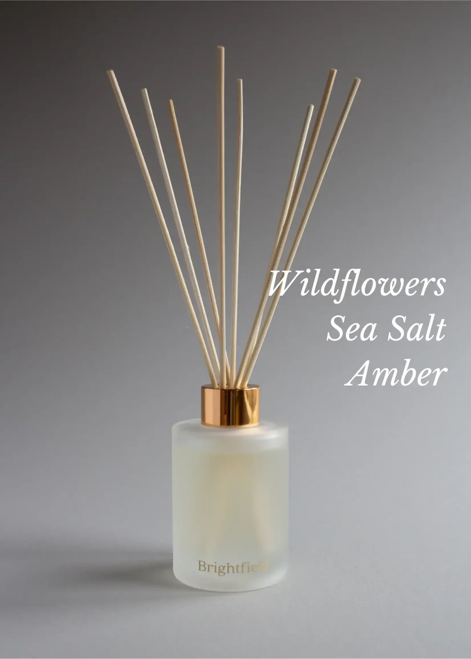 Brightfield  Candle Company Brightfield Reed Diffuser - Skinny Dip