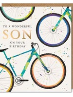 To A Wonderful Son on Your Birthday