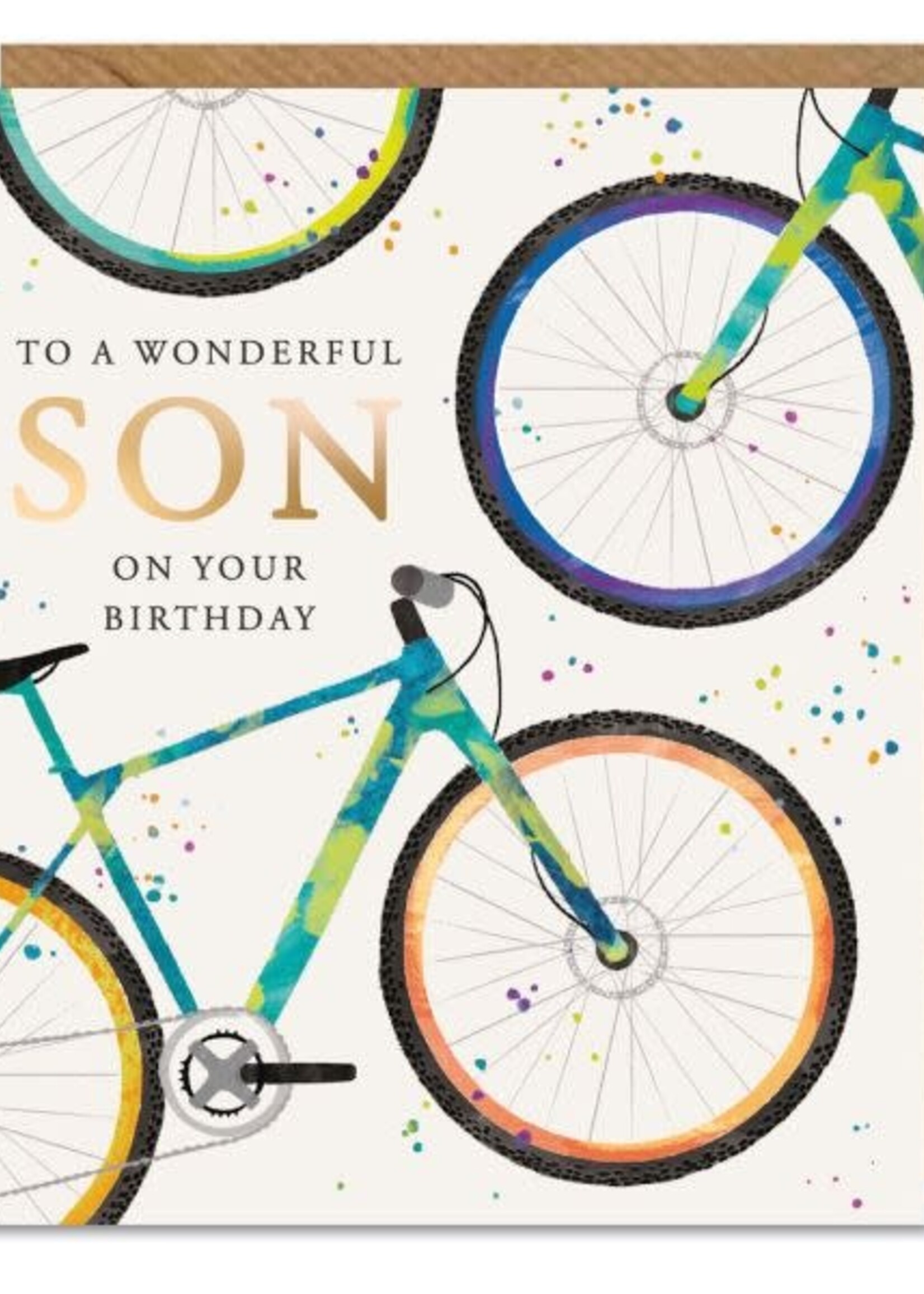 To A Wonderful Son on Your Birthday